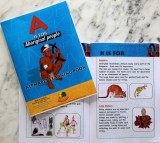 A is for Aboriginal People - Alphabet Learning Book